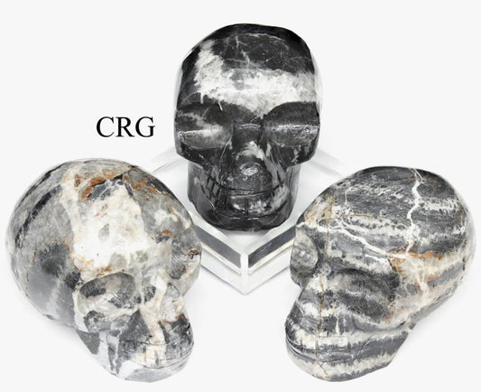 Large Peru Zebrite Skull - Reiki Infused